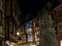 Colmar dec 2016 08  Pauvre sapin dépourvu de ses couluers hivernales