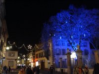 Colmar dec 2016 21  Arbre bleu